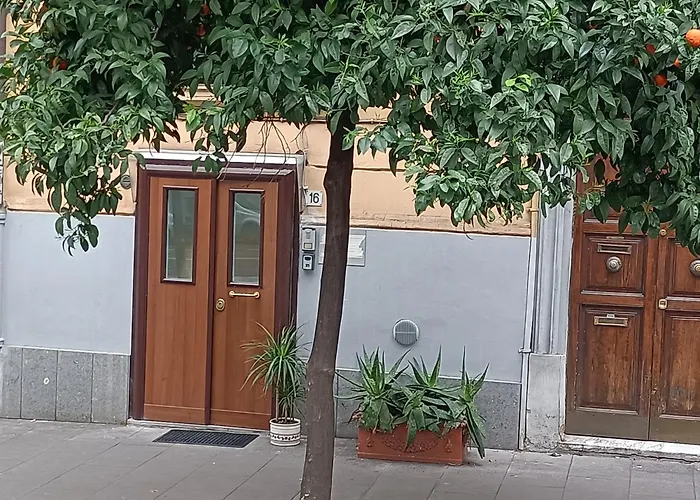 Viacatania16